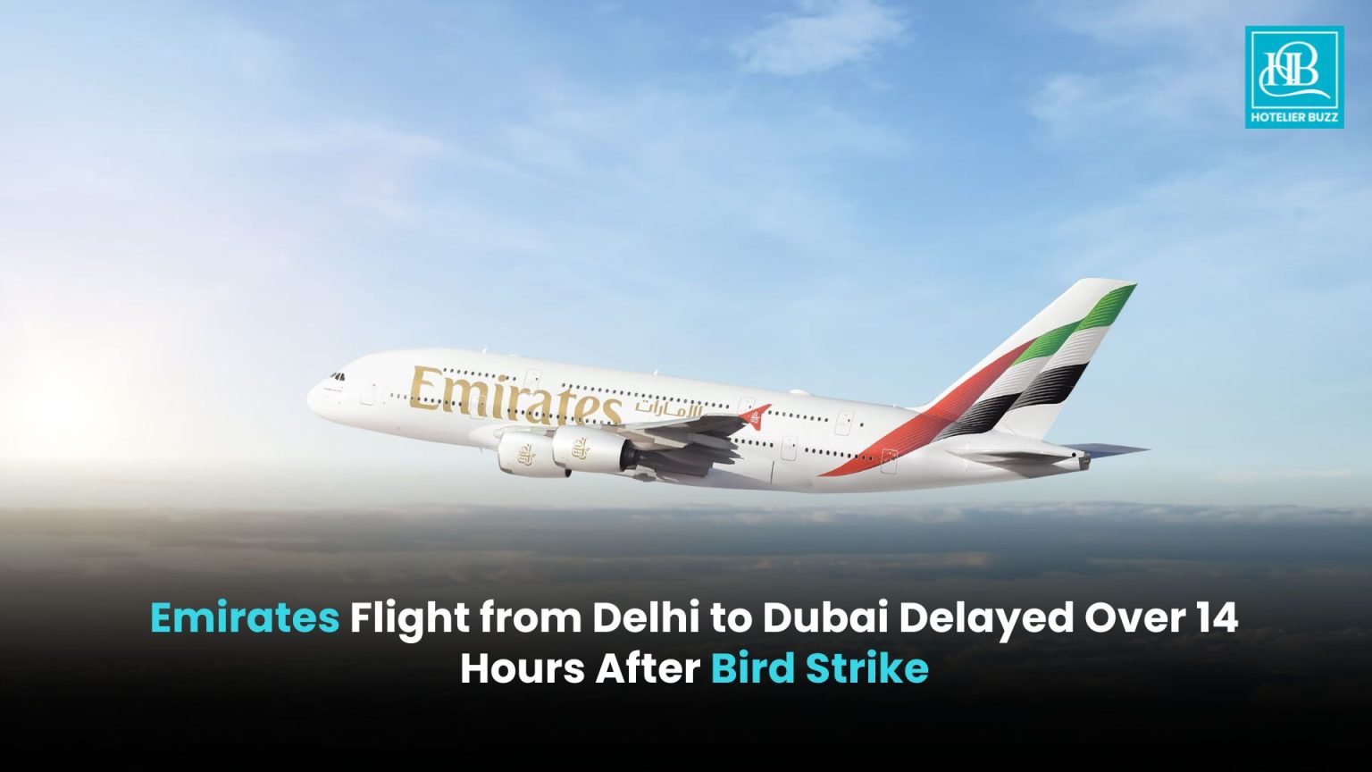 Emirates Delhi-Dubai Flight Delayed Over 14 Hours After Bird Strike