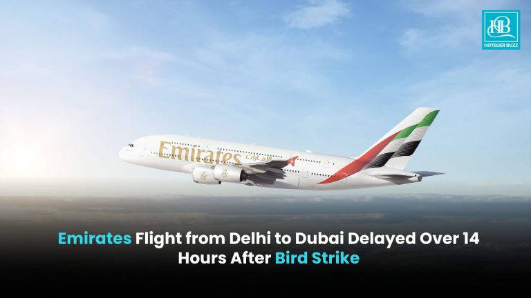 Emirates Flight from Delhi to Dubai Delayed Over 14 Hours After Bird Strike Emirates Flight from Delhi to Dubai Delayed Over 14 Hours After Bird Strike